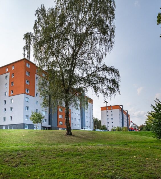 imgi_2_nivelles_17.jpg__1920x1080_q85_subsampling-2